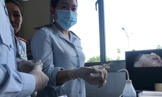 Đoàn kiểm tra ATTP TP test thực phẩm tại bếp ăn công nhân ở khu chế xuất, khu công nghiệp TPHCM