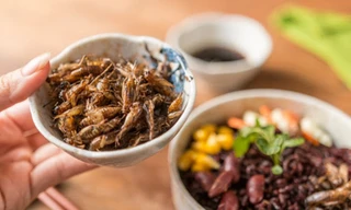 Trẻ suýt chết khi cha mẹ cho ăn côn trùng