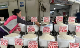 Lý do giá gạo bán lẻ giảm nhưng ít khách mua