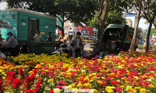 Hoa tết còn bạt ngàn, xe ép rác đã đứng cạnh bên