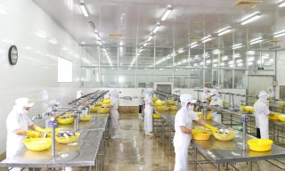 Nhiều doanh nghiệp "đỏ mắt" tìm lao động để phục hồi sản xuất