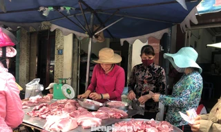 Giá thịt heo chợ lẻ vẫn đứng ở ngưỡng cao