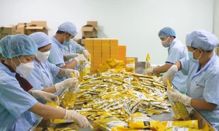 Tổ chức tín dụng đen ‘săn mồi’ rất hấp dẫn