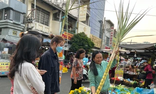 Mía cây, cá chép đường... 'đắt như tôm tươi' dịp ông Công ông Táo