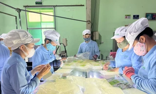 'Vua nha đam' Việt muốn mở rộng thị phần xuất khẩu Mỹ