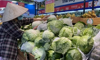 Hàng trăm tấn rau củ từ Nam ra Bắc để bình ổn thị trường 