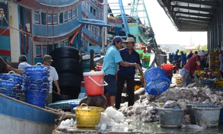 Thu xuất nhập khẩu là một trong những khoản thu giảm thấp của tỉnh Bà Rịa - Vũng Tàu năm 2020 