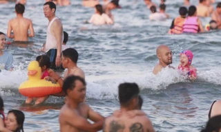 Mùa hè, tắm biển dễ bị sứa "cắn"