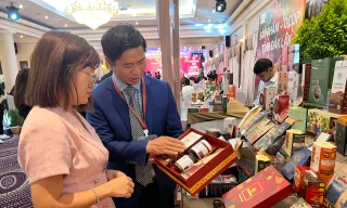 Giá cà phê tăng vọt, nông dân thu nhập cao chót vót 