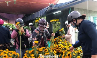 TPHCM: Chợ hoa Hồ Thị Kỷ 'xả hàng' kéo khách