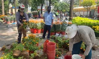 TPHCM: Nhiều tiểu thương cắt bỏ hoa để lấy chậu chiều 30 Tết