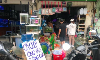 Mới lạ cá chép ‘2 ông 1 bà’ tiễn Táo quân về trời