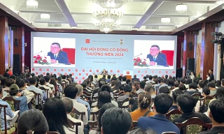 Công ty chứng khoán chi nghìn tỷ trả cổ tức