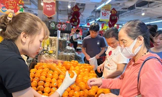 Nhiều trái cây 'xa xỉ' giá rẻ giật mình