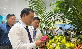 TPHCM sẽ làm cầu nối tiêu thụ đặc sản cả nước