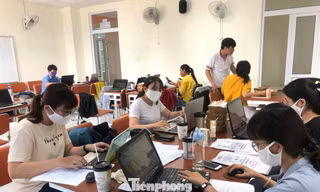 Gần 6,5 tỷ đồng đào tạo sinh viên y khoa tham gia phòng COVID-19