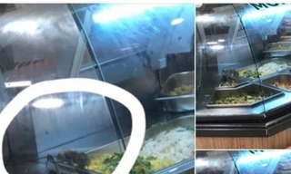 Chuột bò trên khay thức ăn tại khu ẩm thực của Aeon Tân Phú do khách hàng chụp được