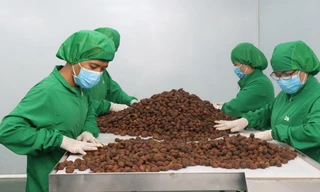 Kết thân với kiều bào hồi hương để bán hàng khắp thế giới