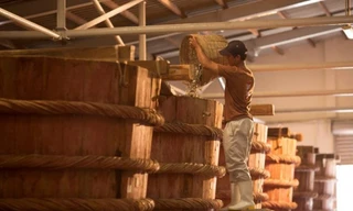 Không phải cứ sản xuất, đóng chai tại Phú Quốc thì sẽ thành nước mắm Phú Quốc