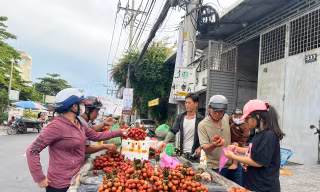 Vải thiều đại hạ giá tại TPHCM