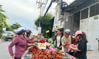 Vải thiều đại hạ giá tại TPHCM