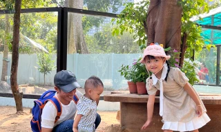 Đổ xô vào Thảo Cầm Viên chơi với capybara