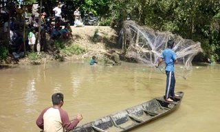 Cả trăm người tìm bắt cá 'lạ' cắn người