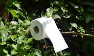 Giấy vệ sinh đắt nhất thế giới, giá một cuộn gần 30 tỷ đồng, phải giàu cỡ nào để xài?