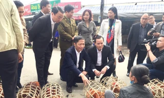 Bộ trưởng Công Thương mua gà, kiểm tra tình hình giá cả thị trường ngày 29 Tết tại Lạng Sơn