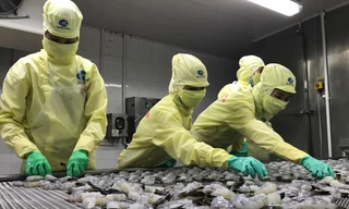 Xuất nhập khẩu năm 2021 vượt kỷ lục đạt gần 670 tỷ USD, đưa Việt Nam vào nhóm 20 nền kinh tế hàng đầu về thương mại quốc tế. 