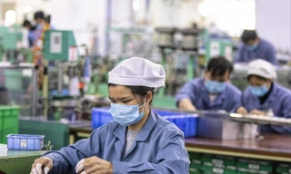 Chuyên gia tư vấn cơ hội để doanh nghiệp tham gia chuỗi cung ứng toàn cầu