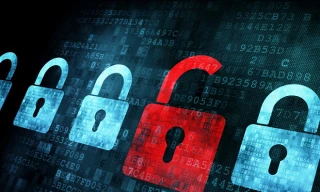 Tỷ lệ phần mềm không bản quyền được cài đặt trong máy tính cá nhân của Việt Nam là 74% với giá trị thương mại của phần mềm trái phép là 492 triệu USD 