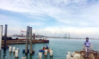 Dự án đình trệ hơn một năm khiến doanh nghiệp thiệt hại hơn 100 tỷ đồng