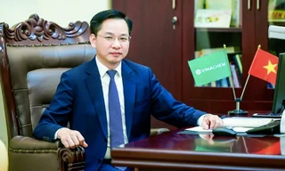 Tập đoàn Hoá chất Việt Nam có người điều hành mới 