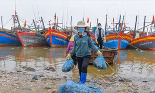 Theo Bộ Nông nghiệp và Phát triển nông thôn, số lượng tàu thuyền “nằm bờ” ngày càng nhiều, tình trạng ngừng ra khơi đánh bắt hải sản đã rất đáng báo động.