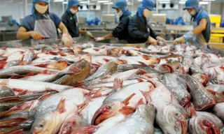 Campuchia hủy lệnh cấm nhập khẩu 4 loại cá da trơn từ Việt Nam