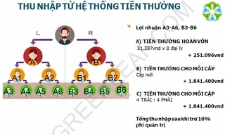 Mô hình phân phối tiền thưởng khi tham gia hệ thống đa cấp của Greenleaf