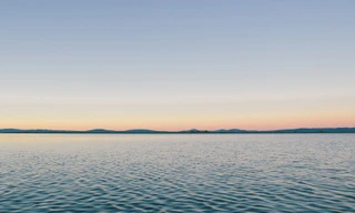 Ảnh minh họa: Internet