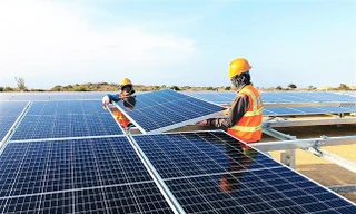 Tiêu thụ điện lập kỷ lục vì nắng nóng 