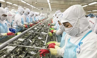 Tham tán thương mại phải làm việc nước trước, việc nhà sau