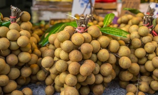 Có khả năng nhãn của Việt Nam sẽ được cấp phép xuất khẩu sang Úc từ đầu năm 2019