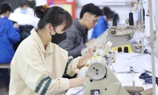 Lội ngược dòng năm 2024, dệt may sẵn sàng cho các yêu cầu mới