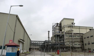 Dự án Nhà máy Xơ sợi Đình Vũ (PvTEx) đầu tư 7.000 tỷ đồng nhưng nay phải đắp chiếu vì thua lỗ