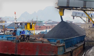 Thiếu 1 triệu tấn than để sản xuất điện