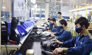 Ninh Bình: Sản xuất, lắp ráp ô tô kéo công nghiệp hỗ trợ bứt tốc 