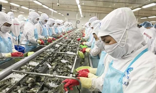 Từ hôm nay, 1/8/2020, hàng xuất khẩu của Việt Nam vào EU sẽ thuận lợi hơn