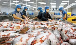 Nhiều mặt hàng xuất khẩu của Việt Nam sẽ bị ảnh hưởng của chiến tranh thương mại Mỹ - Trung Quốc