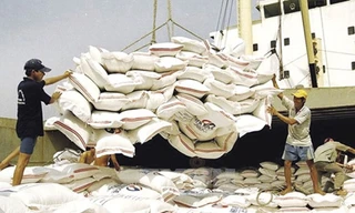 Nghị định mới về xuất khẩu gạo đã bỏ nhiều quy định, cởi trói cho xuất khẩu gạo