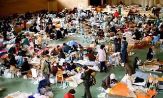 Trong vùng thảm họa