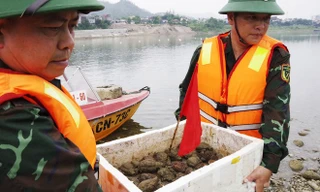 Trục vớt được 32 quả lựu đạn trên sông Đà 